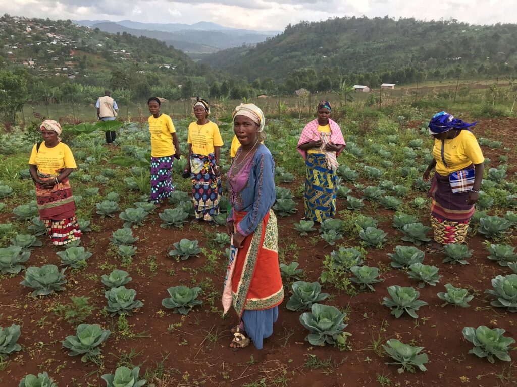 Kvinnelige småbønder står i åkeren sin i DR Kongo.