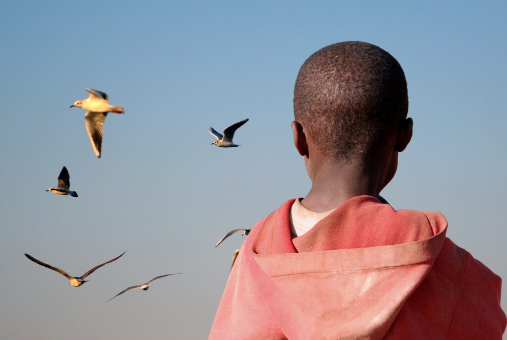 Ung afrikansk gutt ser på måker som flyr på himmelen