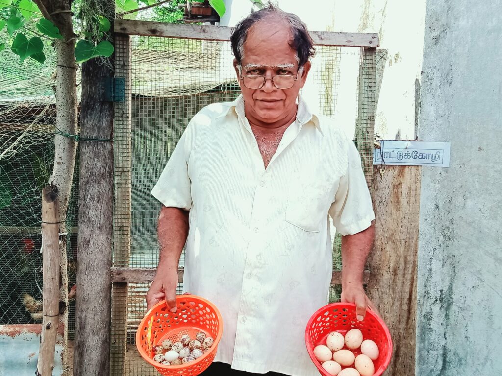 Eldre mann på Sri Lanka viser fra ulike egg i to plastboller. 