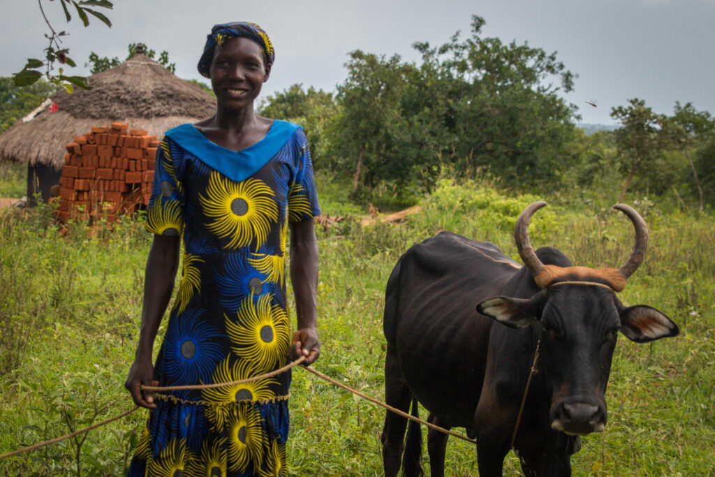 Nyana fra Uganda står i åkeren sin med oksen hun har investert i.