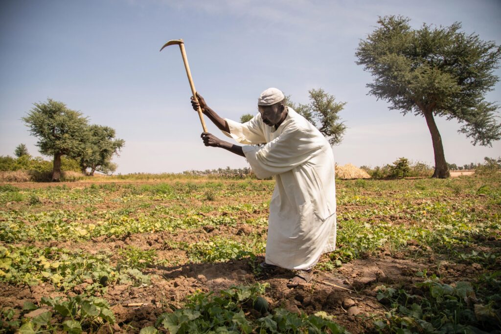 Mannlig deltaker i Caritas sitt matsikkerhetsprogram jobber i åkeren sine i en landsby i Vest-Darfur. 