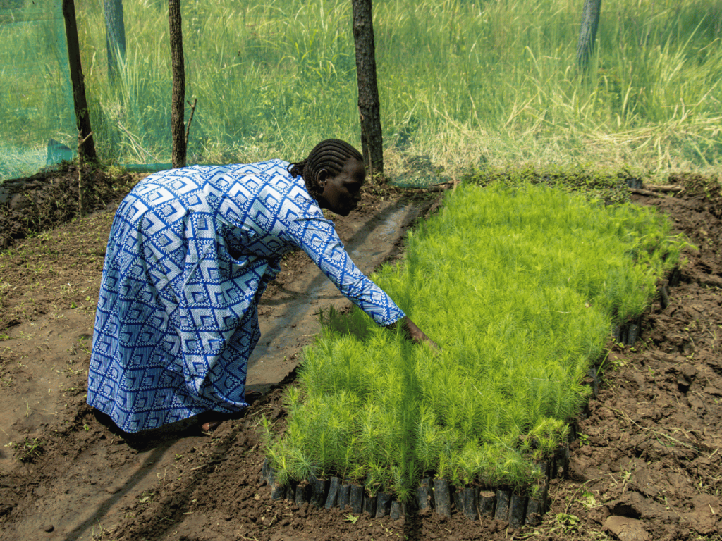 Akumu Evalye fra Uganda inspiserer planter hun har sådd sammen med andre i bondegruppa hun er med i