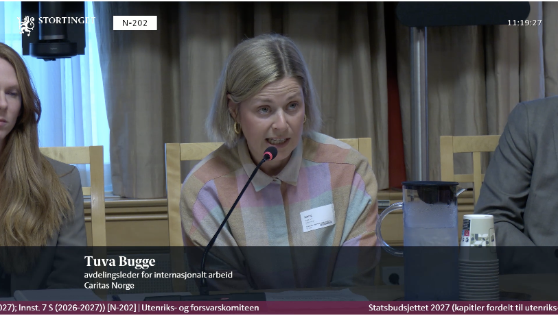 Skjermdump med utenlandssjef Tuva Bugge på budsjetthøring på Stortinget